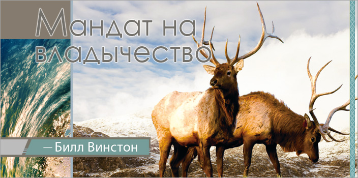 Мандат на владычество