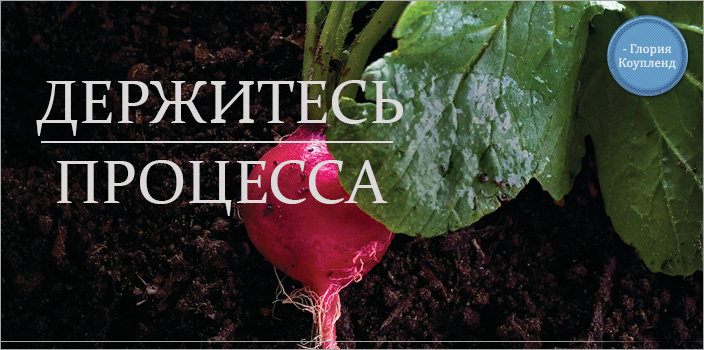 Держитесь процесса