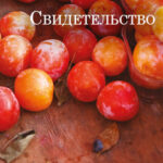 Свидетельство