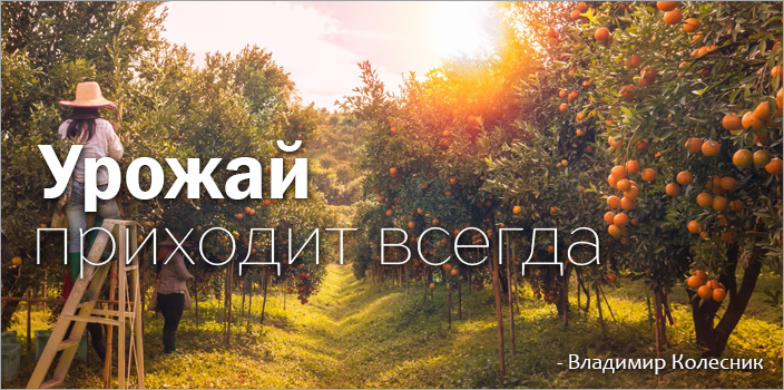 Урожай приходит всегда