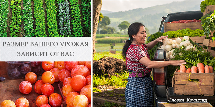 Размер вашего урожая зависит от вас