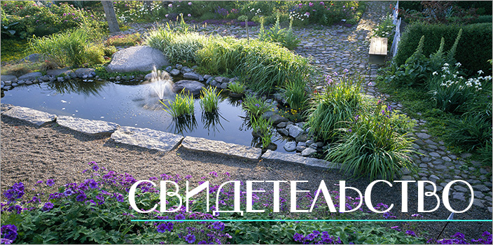 Свидетельства