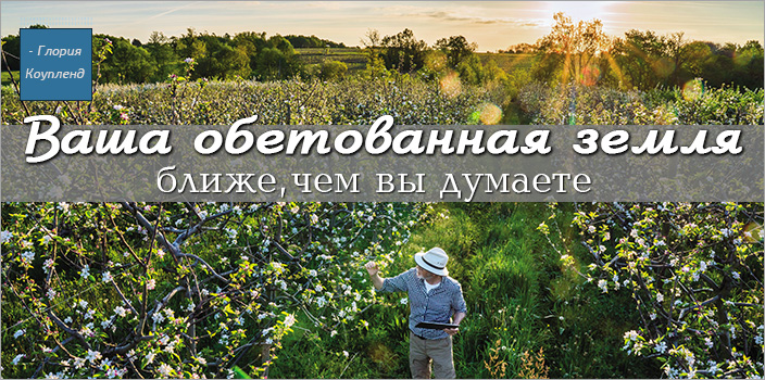 Ваша обетованная земля ближе, чем вы думаете