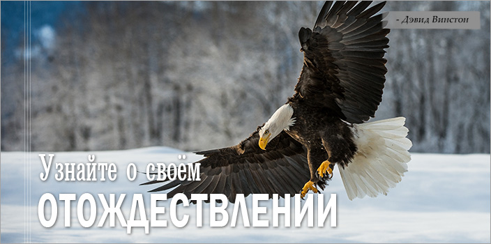 Узнайте о своем отождествлении