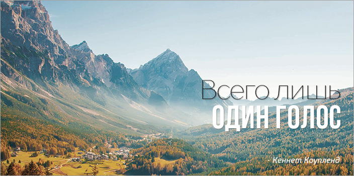 Всего лишь один голос