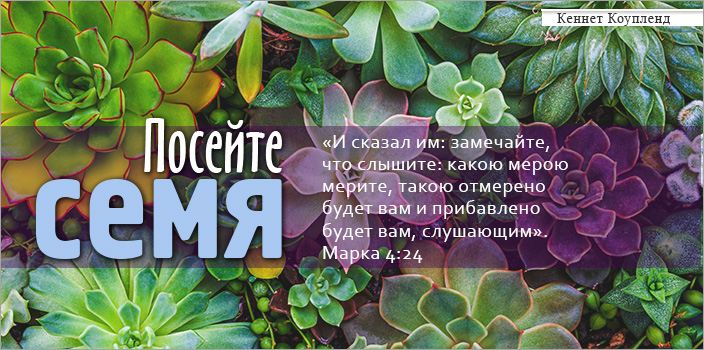 Посейте семя